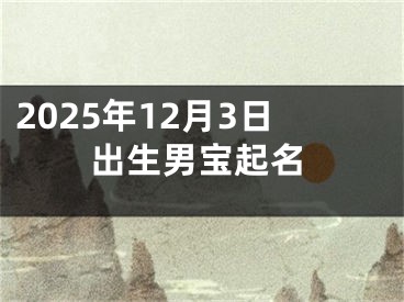 2025年12月3日出生男宝起名