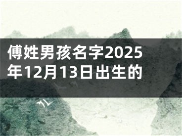 傅姓男孩名字2025年12月13日出生的