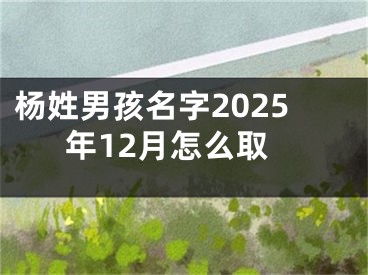 杨姓男孩名字2025年12月怎么取