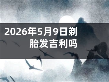 2026年5月9日剃胎发吉利吗