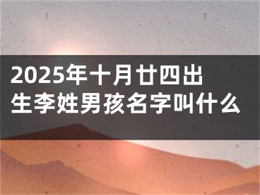 2025年十月廿四出生李姓男孩名字叫什么