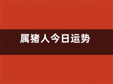 属猪人今日运势