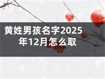 黄姓男孩名字2025年12月怎么取