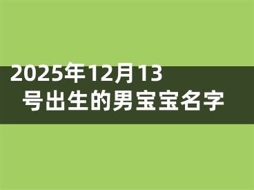 2025年12月13号出生的男宝宝名字