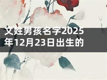 文姓男孩名字2025年12月23日出生的