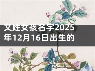 文姓女孩名字2025年12月16日出生的