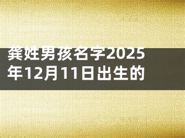 龚姓男孩名字2025年12月11日出生的