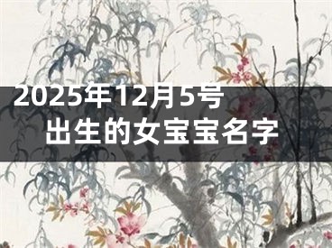 2025年12月5号出生的女宝宝名字