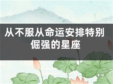 从不服从命运安排特别倔强的星座