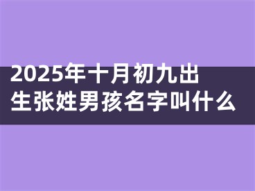 2025年十月初九出生张姓男孩名字叫什么