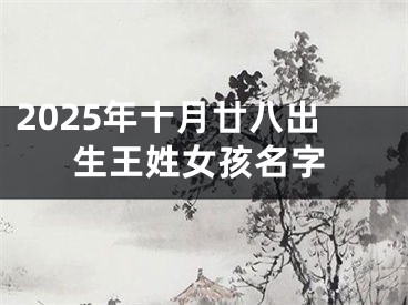 2025年十月廿八出生王姓女孩名字