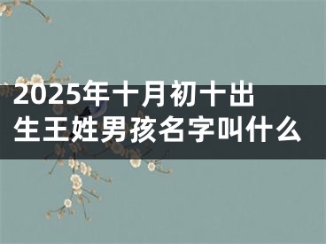 2025年十月初十出生王姓男孩名字叫什么