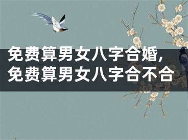 免费算男女八字合婚,免费算男女八字合不合