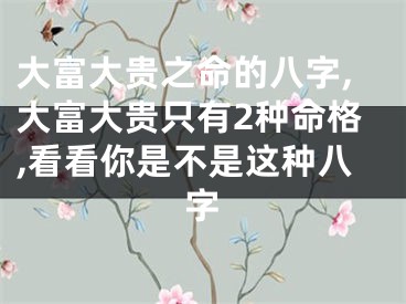 大富大贵之命的八字,大富大贵只有2种命格,看看你是不是这种八字