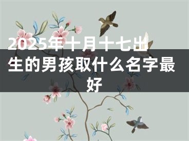 2025年十月十七出生的男孩取什么名字最好