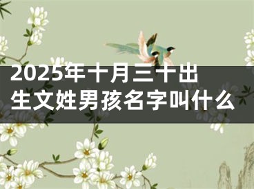 2025年十月三十出生文姓男孩名字叫什么
