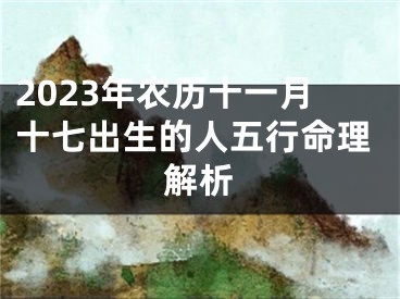 2023年农历十一月十七出生的人五行命理解析