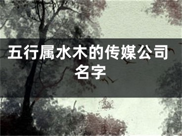 五行属水木的传媒公司名字