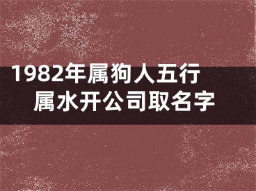 1982年属狗人五行属水开公司取名字