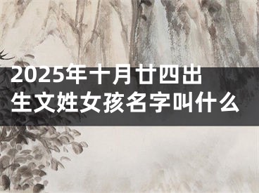 2025年十月廿四出生文姓女孩名字叫什么