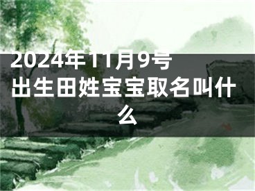 2024年11月9号出生田姓宝宝取名叫什么