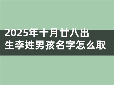 2025年十月廿八出生李姓男孩名字怎么取
