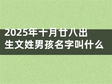 2025年十月廿八出生文姓男孩名字叫什么