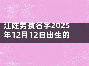江姓男孩名字2025年12月12日出生的