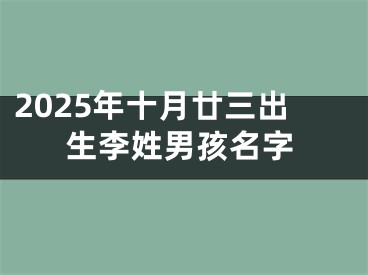 2025年十月廿三出生李姓男孩名字