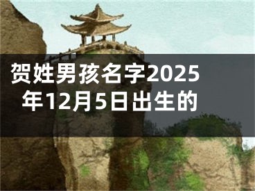 贺姓男孩名字2025年12月5日出生的