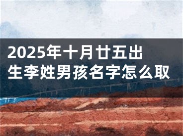 2025年十月廿五出生李姓男孩名字怎么取