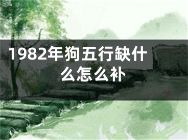 1982年狗五行缺什么怎么补