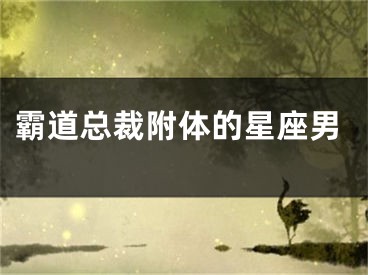 霸道总裁附体的星座男