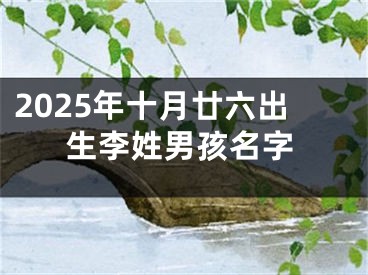 2025年十月廿六出生李姓男孩名字
