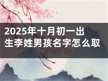 2025年十月初一出生李姓男孩名字怎么取