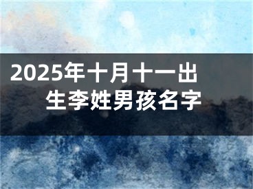 2025年十月十一出生李姓男孩名字
