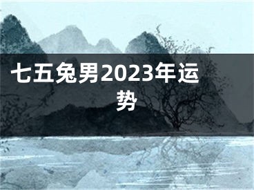七五兔男2023年运势