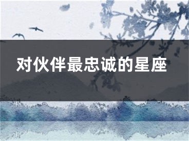 对伙伴最忠诚的星座