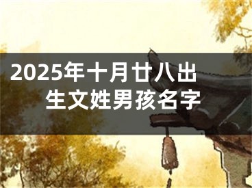 2025年十月廿八出生文姓男孩名字