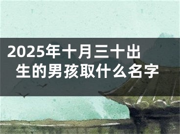 2025年十月三十出生的男孩取什么名字