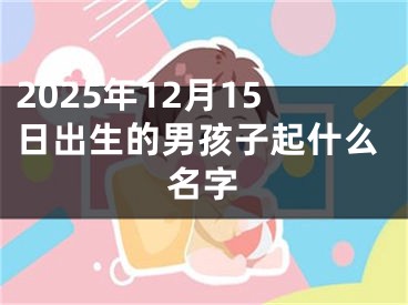 2025年12月15日出生的男孩子起什么名字