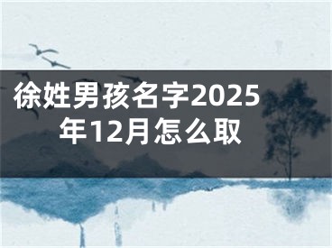 徐姓男孩名字2025年12月怎么取