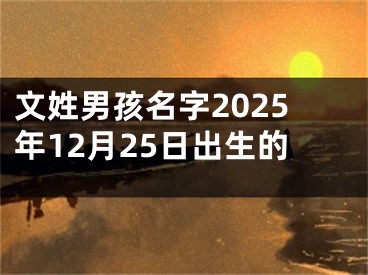 文姓男孩名字2025年12月25日出生的