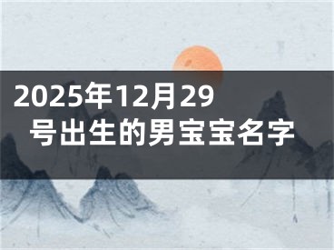 2025年12月29号出生的男宝宝名字