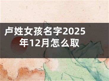 卢姓女孩名字2025年12月怎么取