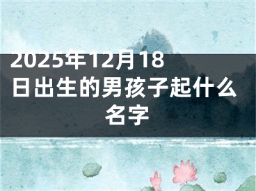 2025年12月18日出生的男孩子起什么名字