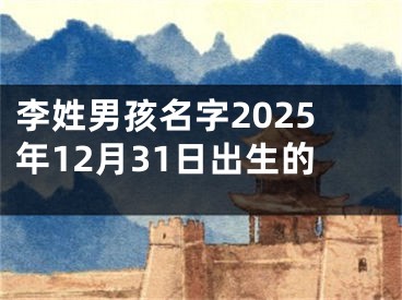 李姓男孩名字2025年12月31日出生的
