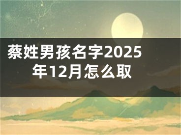 蔡姓男孩名字2025年12月怎么取