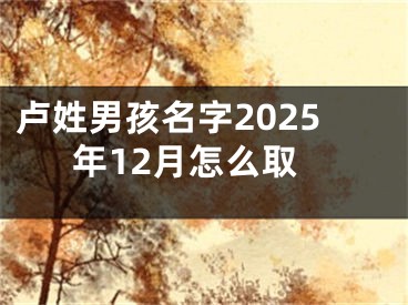 卢姓男孩名字2025年12月怎么取