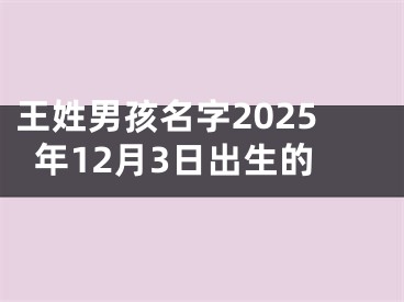 王姓男孩名字2025年12月3日出生的